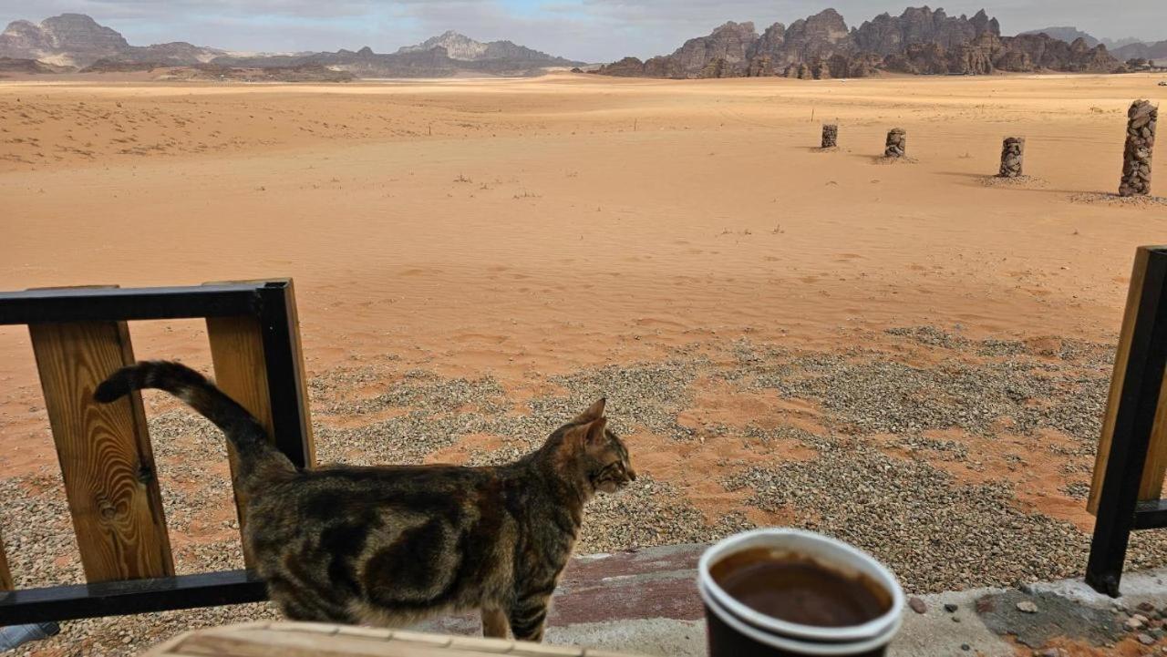 Bedouin Life Camp Hotell Wadi Rum Eksteriør bilde